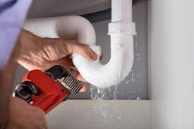 Best Plumbing System Maintenance  in Black Canyon City, AZ